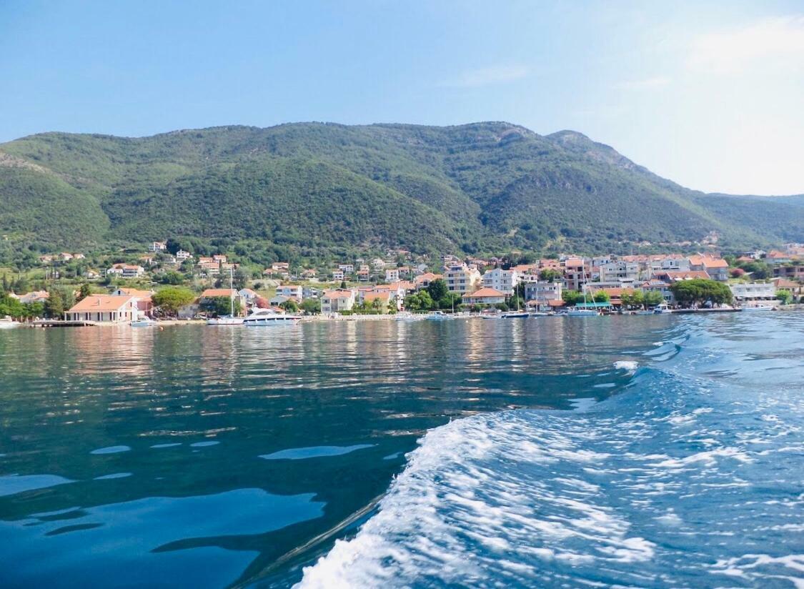 ホテル Vila Duricic 300M Od Mora Ðenovići エクステリア 写真